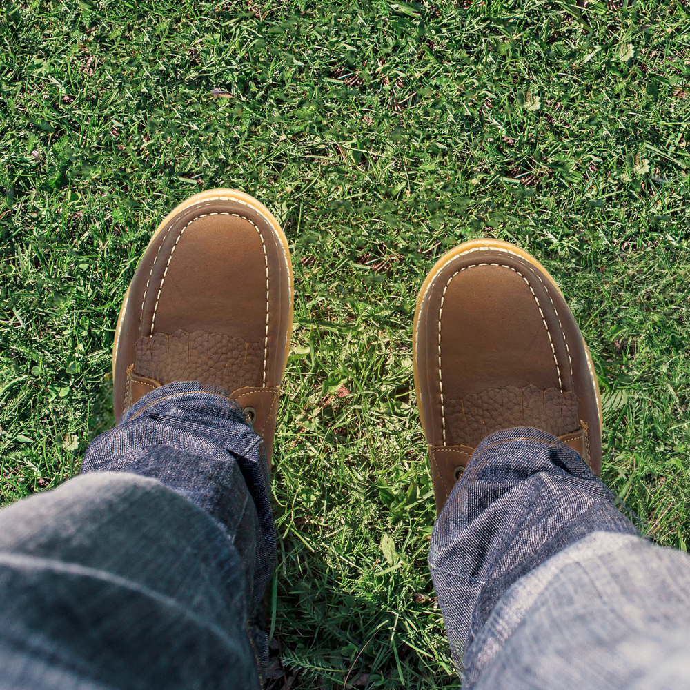 
                      
                        Bota lacer Estilo 1568 Color Ocre con Casco de poliamida
                      
                    
